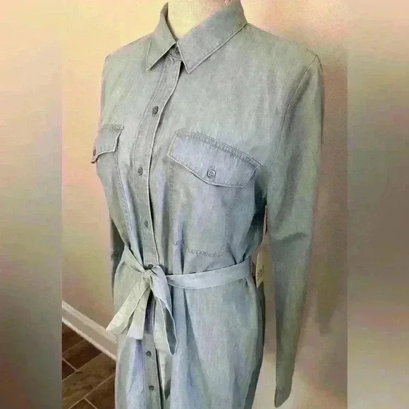 Ana a new approach Light Wash Dress - Picture 4 of 14